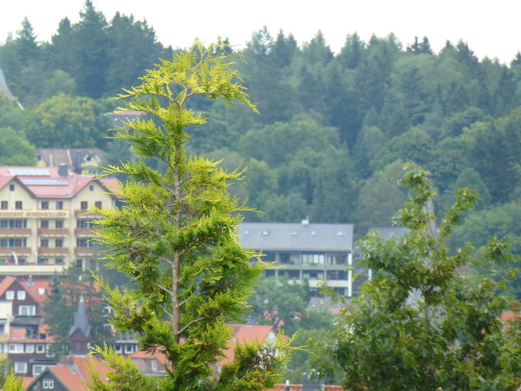 Harzhaus Willkommen Braunlage Εξωτερικό φωτογραφία